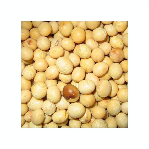 High Grade Soybeans White Hilum Soyabean Soy Beans Seeds Non Gmo