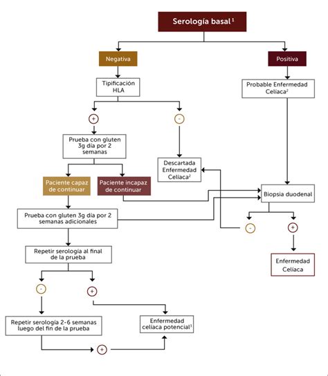 Algoritmo Diagnóstico En Pacientes Que Están En Dieta Libre De Gluten