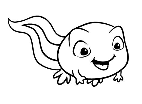 Printable Tadpole Coloring Page Free Printable Coloring Pages