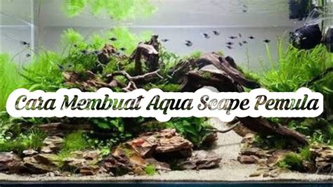 Cara Membuat Aquascape Sederhana Low Budget Part 1 YouTube