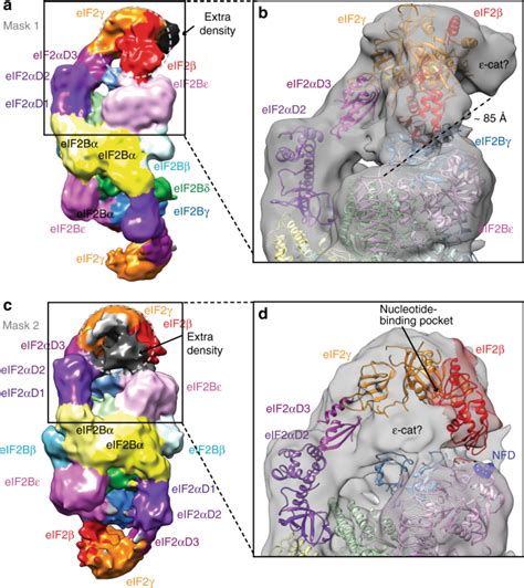 Structural Basis For The Inhibition Of Translation Through Eif