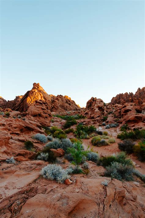 Rocky formations with plants in desert · Free Stock Photo