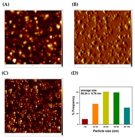 Atomic Force Microscopy AFM Images And A Size Histogram Of TF AgNPs