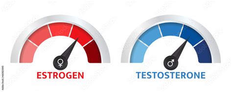 Testosterone And Estrogen Meter Sex Hormone Level Measuring Scale