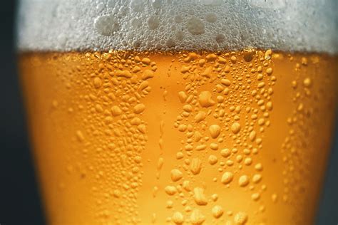 Bere birra fa bene alle ossa lo dice l Università di Siena Agrodolce