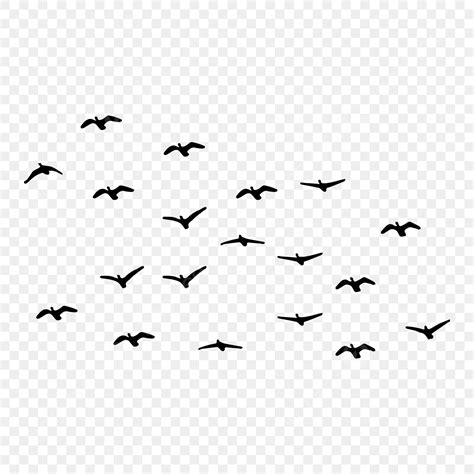 Flying Bird Illustration Vector Art PNG Flying Birds Vector