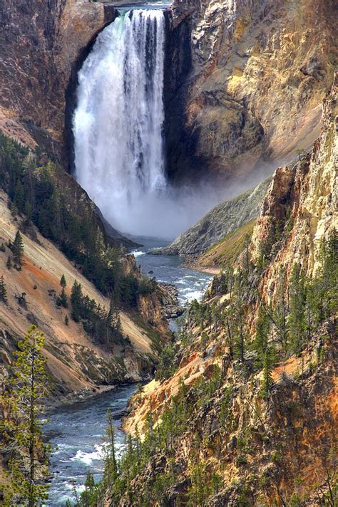 Lower Yellowstone Falls Photograph By Brad Scott Fine Art America