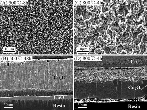 Surface And Cross Sectional Morphologies Of Pure Cu At And C