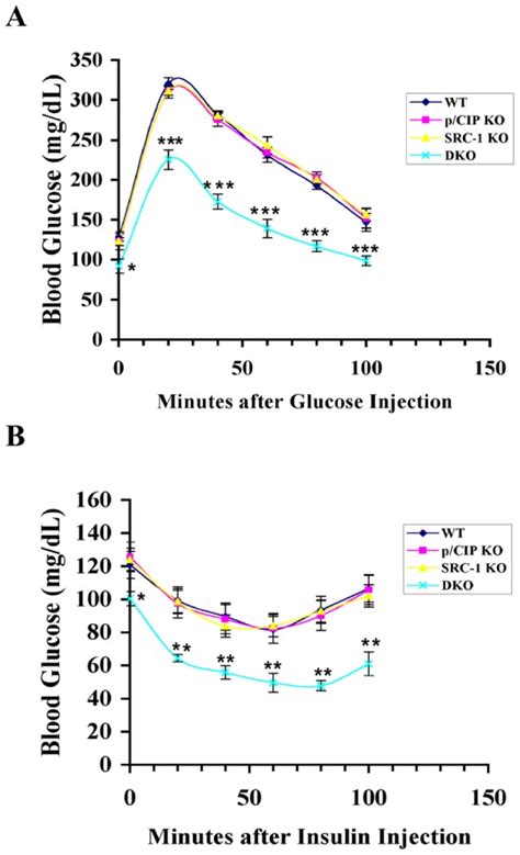 A And B Three Month Old Male Mice 5 For Each Genotype Were Fasted Download Scientific