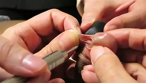 Nadeln In Schwanz Necken Cbt Amateur Nadelspiel Bdsm Xhamster