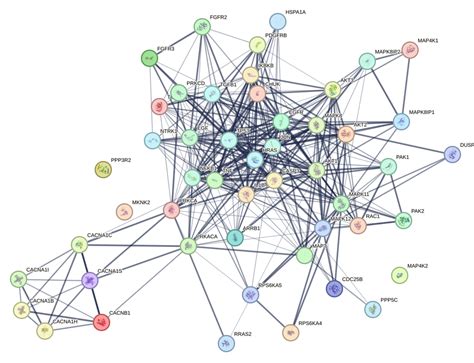PathCards :: MAPK signaling pathway Pathway and related pathways 