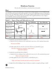 Pogil Membrane Function How Does The Cell Membrane Control Movement