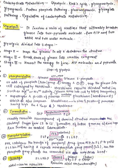 Solution Carbohydrate Metabolism Shortnotes Studypool