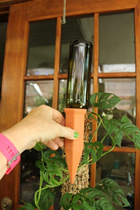 How To Make A Moss Pole With Pvc Pipe The Houseplant Guru