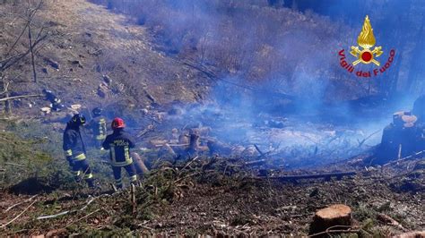 Incendi Boschivi A Belluno Ecco Le Nuove Mappe Del Rischio La Regione