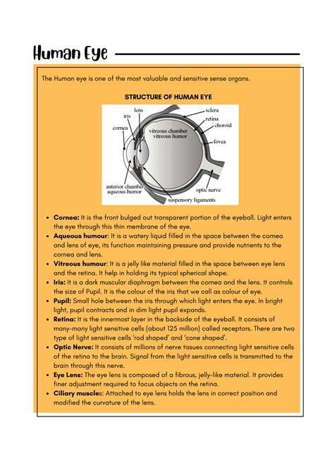 SOLUTION A Guide To Human Eye And The Colourful World For Cbse Class