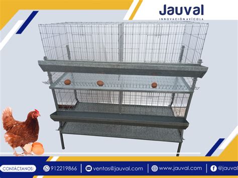 Jaula Para 20 24 Gallinas Con Bandeja Recolectora JAUVAL WEB