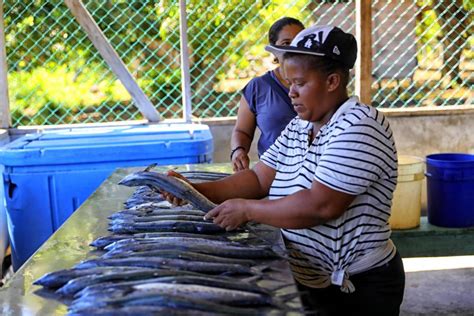 Misquitos hondureños transforman su pesca con energía solar