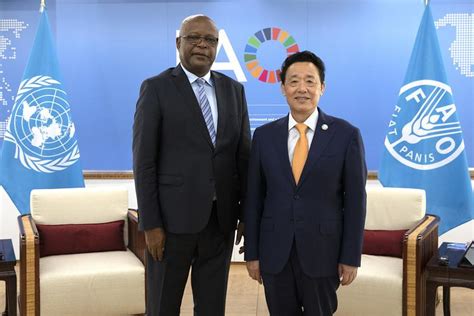 Read Out Of The Fao Director Generals Meeting With Houmed Msaidie
