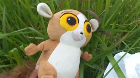 Menemukan Boneka Kukang Yang Di Buang Sayang YouTube