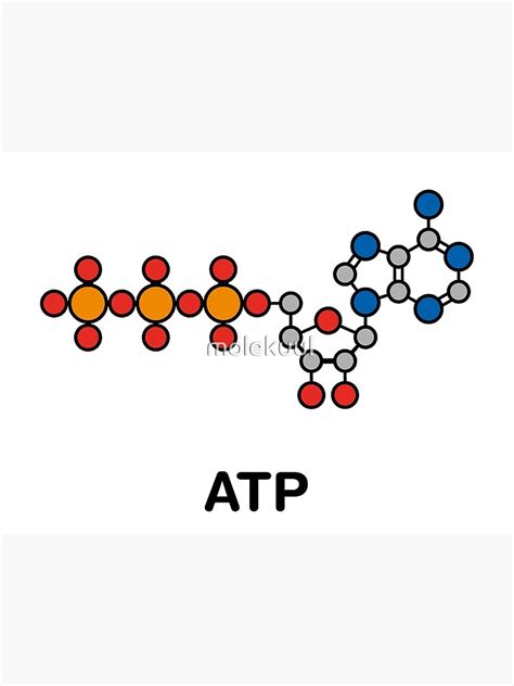 Molécula De Trifosfato De Adenosina Ilustración Del 44 Off