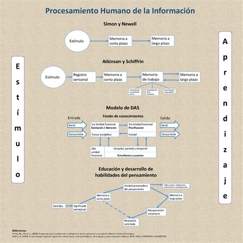 Mapa conceptual procesamiento humano de la información Procesamiento