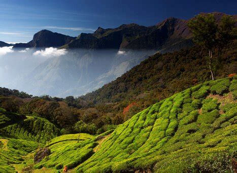 Anamudi Peak, Munnar - Highest Peak in Southern India