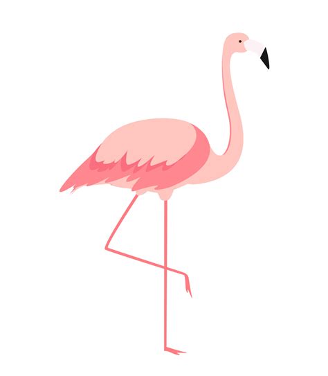 Colorful Cartoon Pink Flamingo On One Leg Stands On White Background Vector Illustration