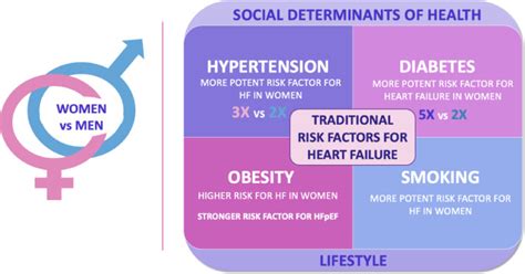 Sex Differences In Heart Failure Journal Of Cardiac Failure