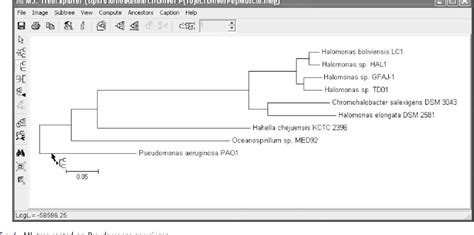 Figure From Building Phylogenetic Trees From Molecular Data With Mega