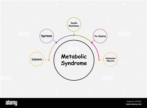 Diagram Of Metabolic Syndrome With Keywords Eps 10 Stock Vector Image And Art Alamy