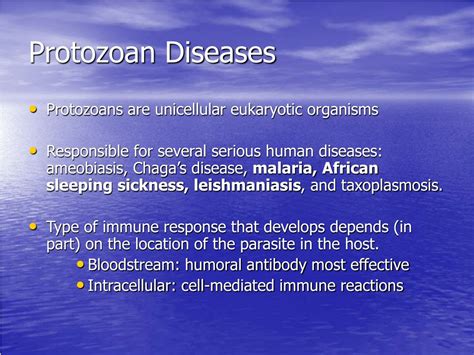 Ppt Protozoan Diseases Powerpoint Presentation Free Download Id9244296