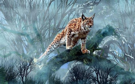 🔥 [70+] Lynx Wallpapers | WallpaperSafari