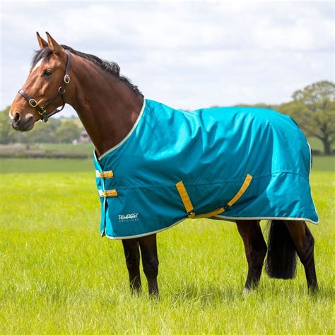 Shires Tempest Original 50g Turnout Rug Blue