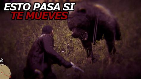 NO DEBÍ VER TIERRA DE OSOS MAESTRO CAZADOR Red Dead Redemption