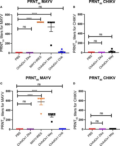 Frontiers Adenoviral Vectored Mayaro And Chikungunya Virus Vaccine