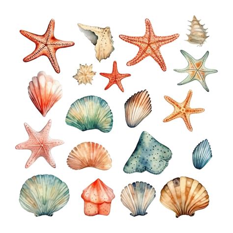 Premium Vector Hand Painted Watercolor Seashells And Starfishes