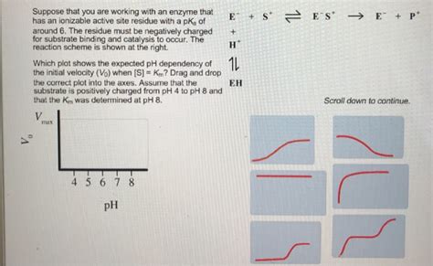 Solved Suppose That You Are Working With An Enzyme That Has Chegg