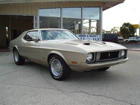 Light Pewter 1973 Ford Mustang Hardtop Photo Detail