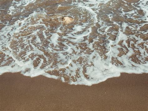 Gentle Ocean Wave On A Stone On A Clean Sandy Beach Background Stock