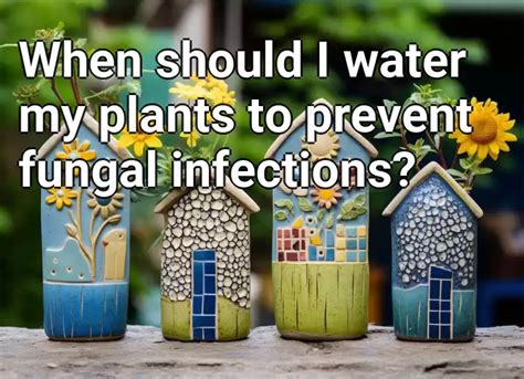 When Should I Water My Plants To Prevent Fungal Infections Gardening