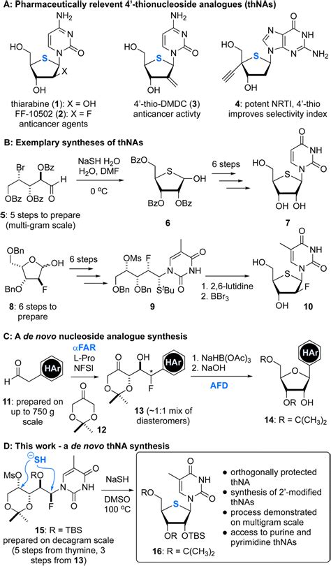 A Flexible And Scalable Synthesis Of 4 Thionucleosides Chemical