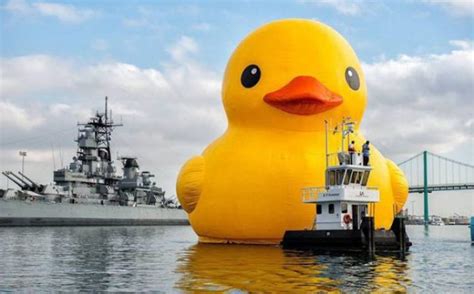 Mr Quackers Chop Socky Chooks Wiki Fandom