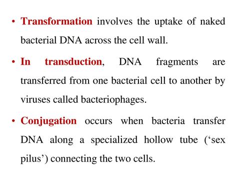 Bacteriology Ppt Download