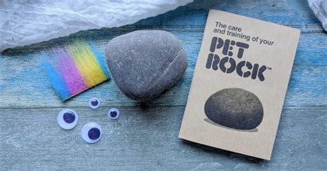 Pet Rock As Seen In The Minions Movie Mama Likes This