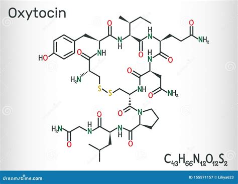 Ossitocina Oxt Ormone Del Peptide E Molecola Di Neuropeptide Formula