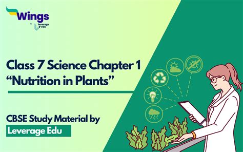 Nutrition In Plants Class 7 Science Ncert Chapter 1 NBKomputer