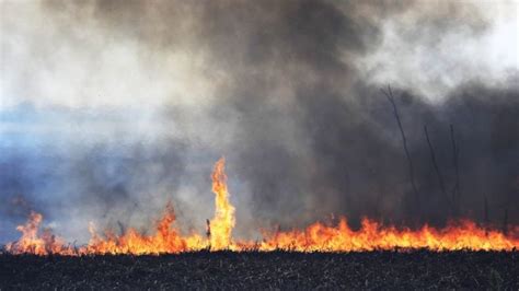 Ambiente Denunciará A Los Dueños De Los Predios Donde Se Iniciaron Los