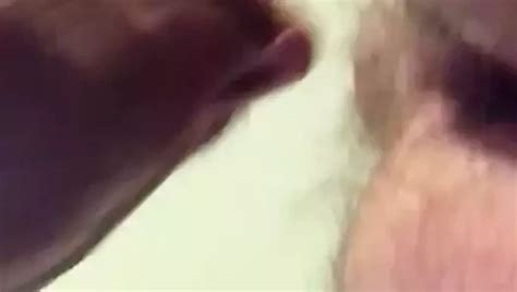 Free Gay Ass Eating Porn Videos XHamster