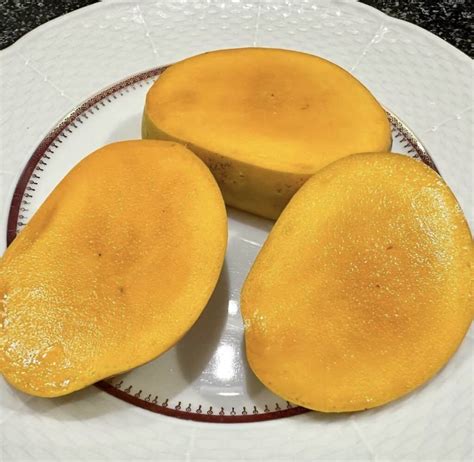 alphonso mango grow guide tropical tree guide
